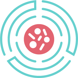 whatIsAMR_6